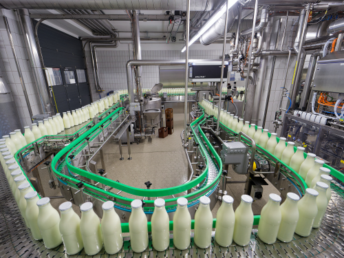 Fyldte mælkeflasker i en række på et transportbånd
