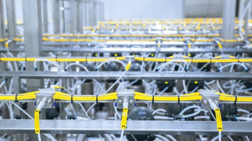 Infrastructure AS-i avec prises vampires aseptiques sur un îlot de vannes