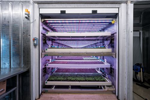 View into an opened ModuleX vertical farming module from Urban Crop Solutions.