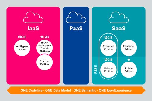 Graphique: modèles d’exploitation cloud SAP S/4HANA