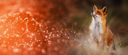 Roter Fuchs neben orangefarbenen digitalen Strukturen symbolisiert KI-gestützte Produktionsplanung mit der ifm-Lösung FOX.