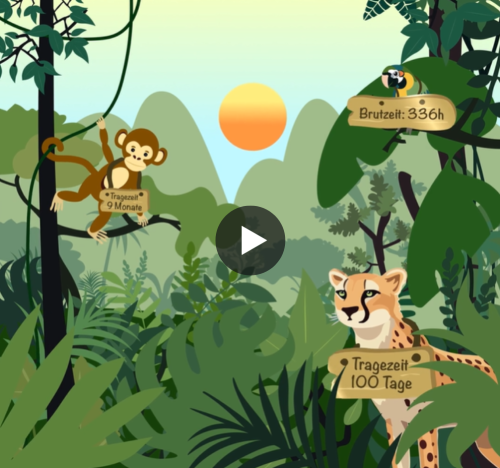 Affe, Vogel und Leopard im Dschungel, die Schilder mit ihren jeweiligen Trage- und Brutzeiten um den Hals hängen haben. Eine Metapher zu den Wiederbeschaffungszeiten in der Logistik.