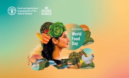 Teaserbillede af artikel: World Food Day 16. Oktober. Hverken vi eller Jorden har råd til ineffektivitet