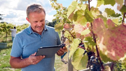 Teaser image of the article: Automatisation intelligente pour les exploitations viticoles. Protégez votre vin, vos installations et lenvironnement grâce à nos solutions et optimisez la qualité et lefficacité de votre production.