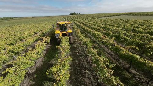 Teaser image of the article: Grégoire. Autonomous line guidance for grape harvesters