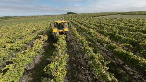 Förhandsbild av artikeln: Grégoire. Autonom linjestyrning för druvskördare
